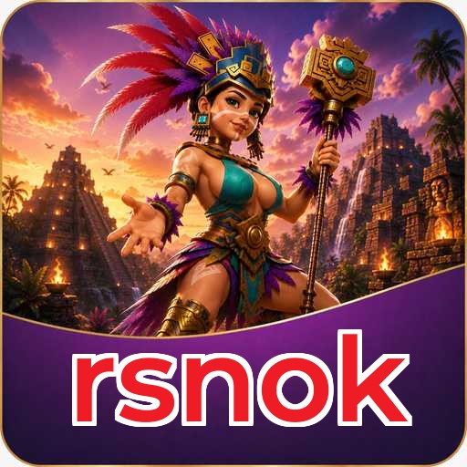 rsnok Technical Info